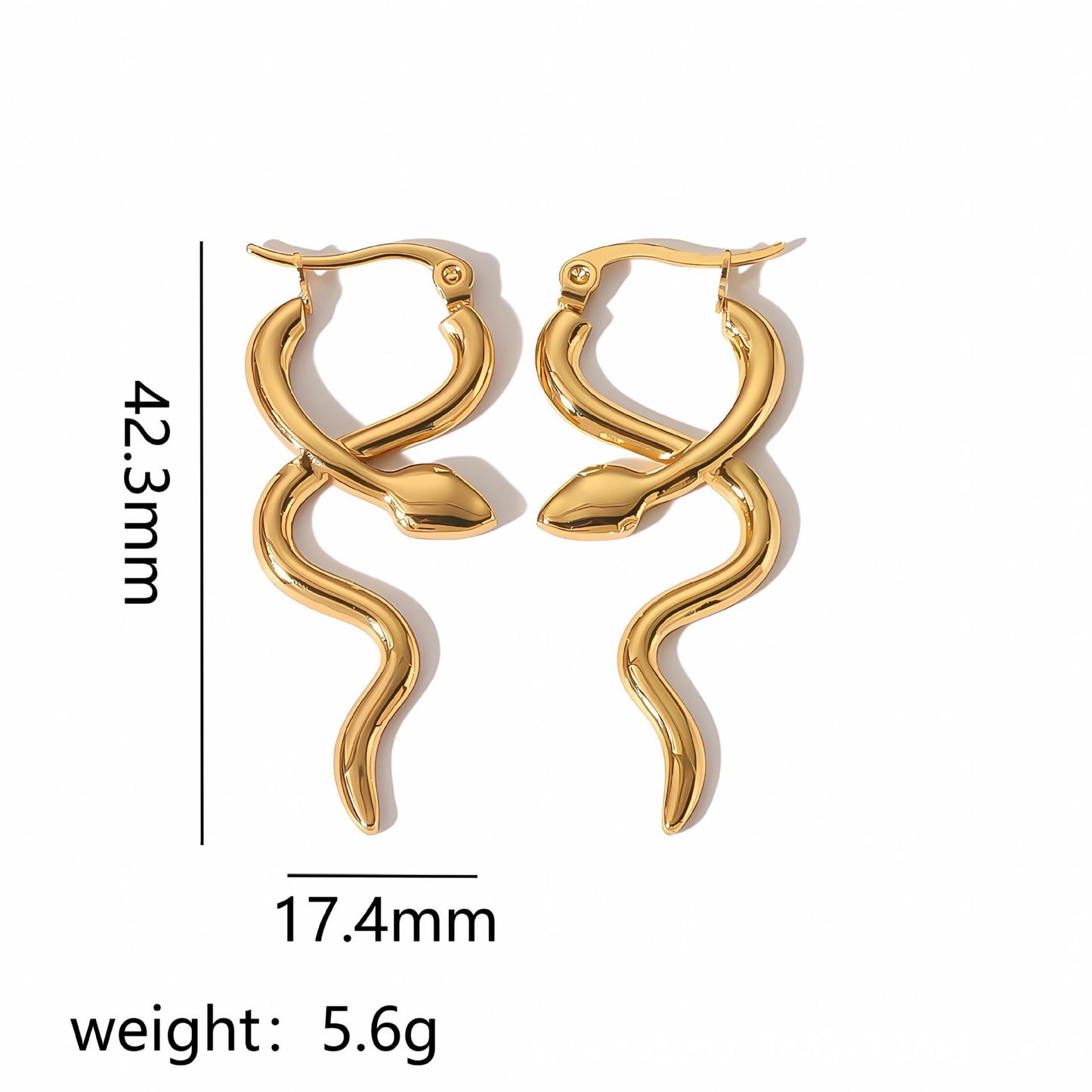 Snake Shaped Titanium Earrings